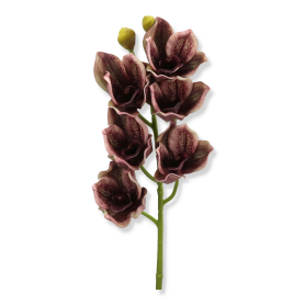 63065 dirty cherry