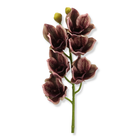 63065 dirty cherry