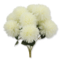 63313 cream