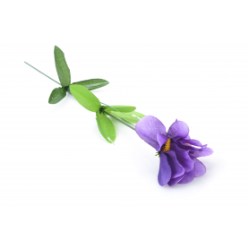 Irys pojedynczy 50cm