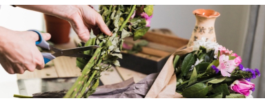 Floristic articles in online wholesale - very wide range of products