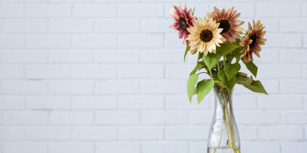 Dobierz idealny wazon do rodzaju kwiatów