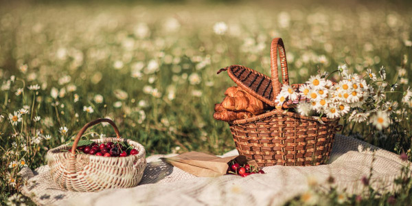 Co możesz wsadzić do wiklinowego kosza na rodzinny piknik?