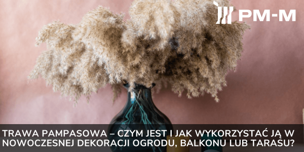 Trawa pampasowa – czym jest i jak wykorzystać ją w nowoczesnej dekoracji ogrodu, balkonu lub tarasu?