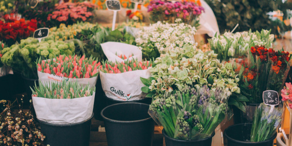 Folia florystyczna - kiedy się przydaje i jak ją wybrać?